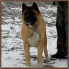 sheva_small1 (1)