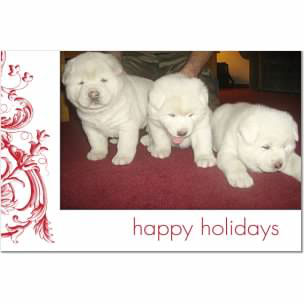 PUPs-(Rice-pose)Holiday2